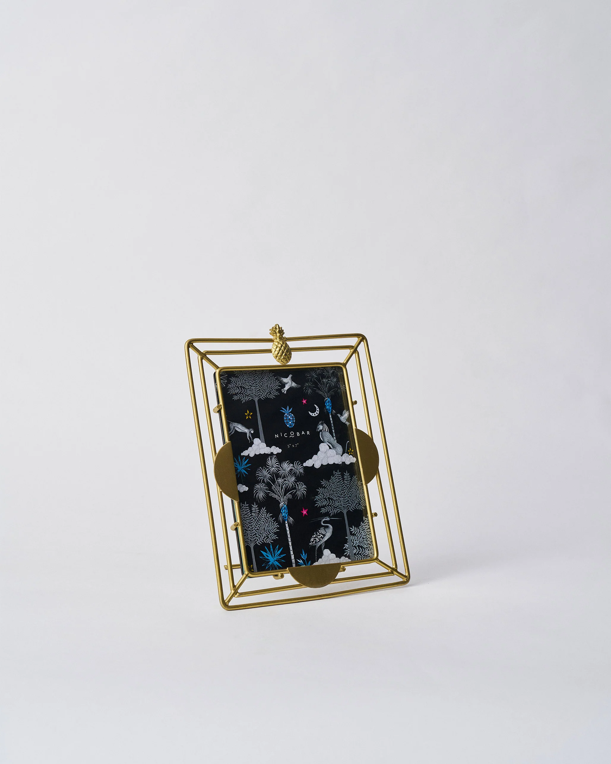 Ananas Photo Frame