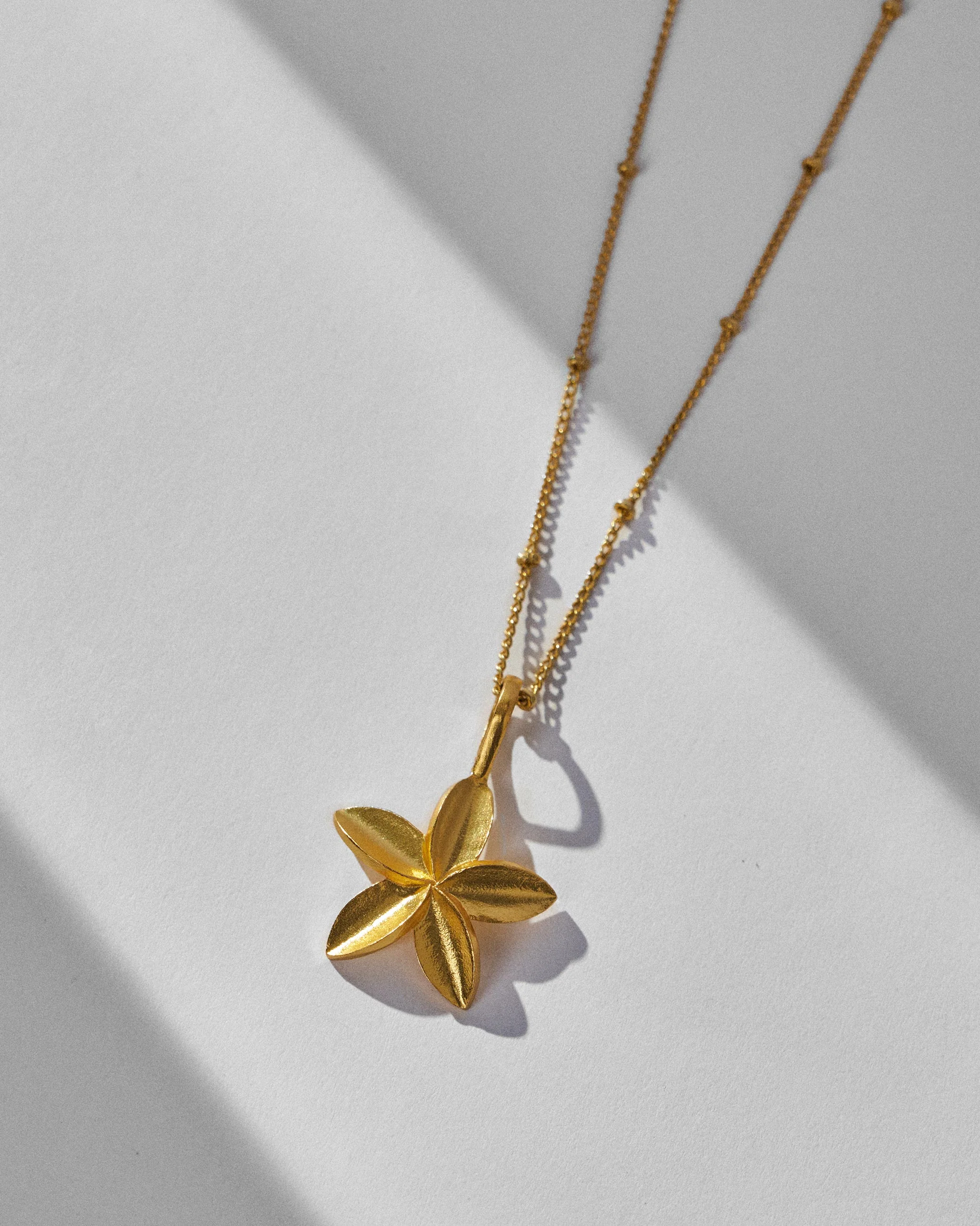 Frangi Charm with Chain - Gold - Image 2