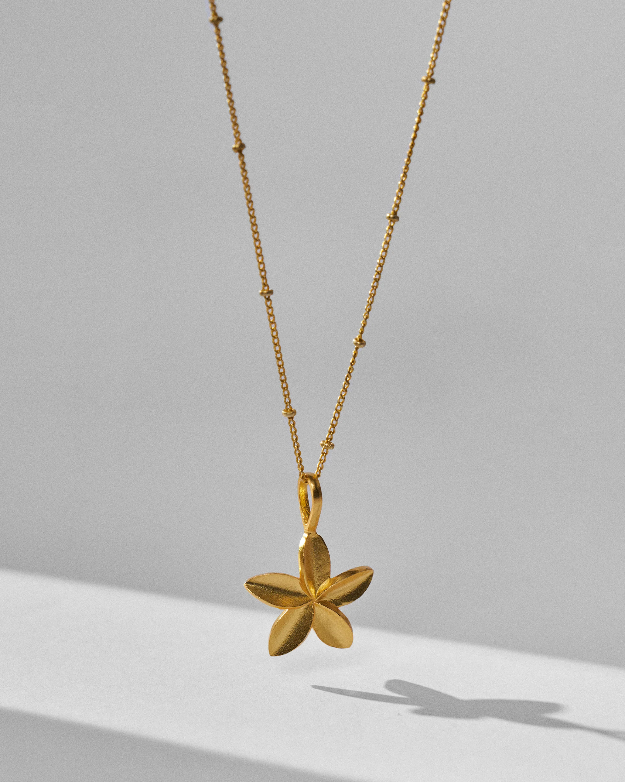Frangi Charm with Chain - Gold - Image 3